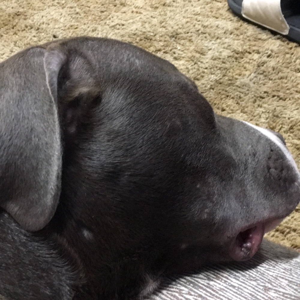 Meet your Posher, Kessler